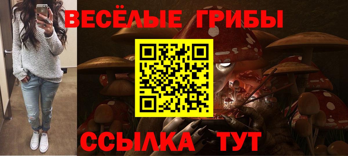 Псилоцибиновые грибы Magic Shrooms Вышний Волочёк